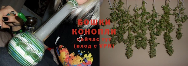 гашик Лабытнанги