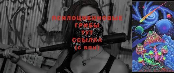гашик Лабытнанги