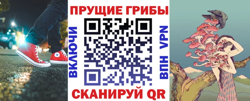 Псилоцибиновые грибы мицелий  MEGA зеркало  Мурманск 