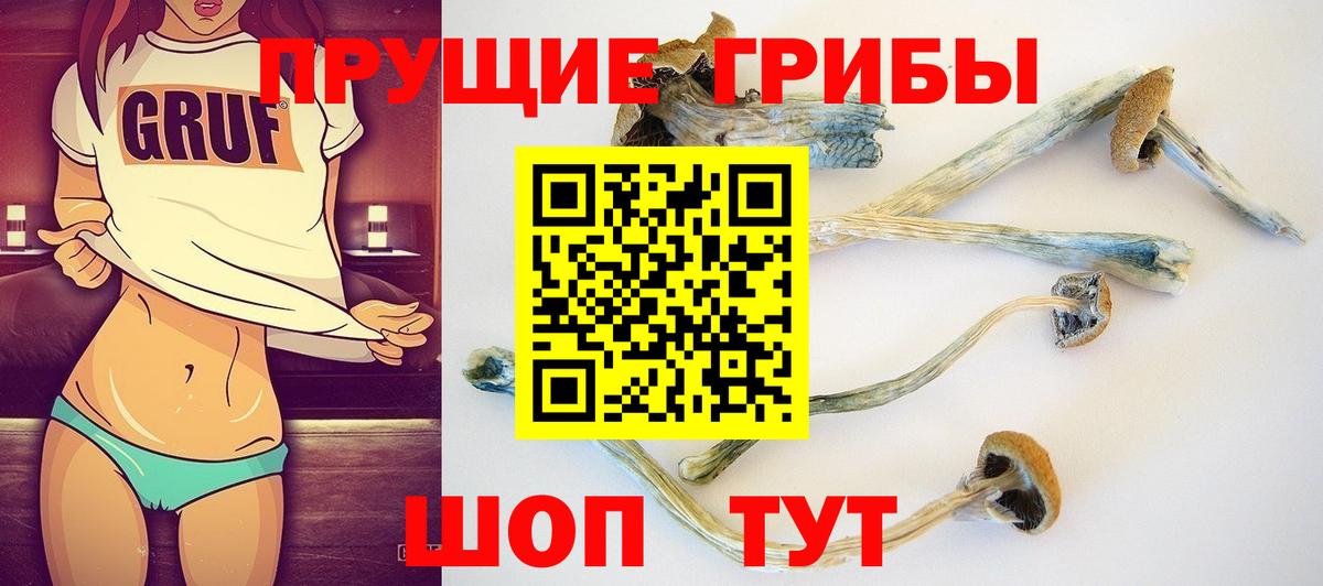 Псилоцибиновые грибы прущие грибы  Вход с VPN  Мурманск  Псилоцибиновые грибы Psilocybe 
